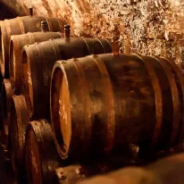 Cantine - rodini.it