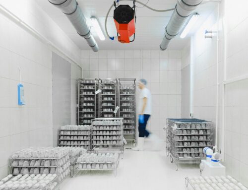 La catena del freddo – definizione