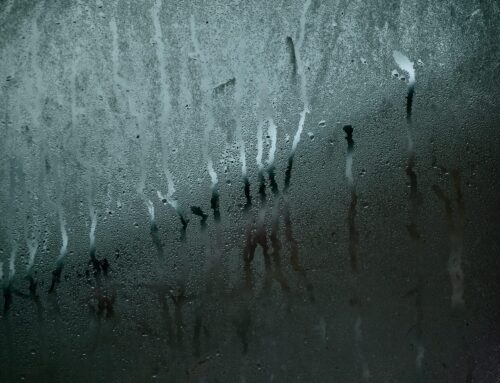 Deumidificazione –  definizione